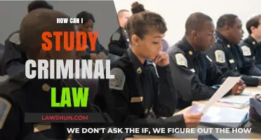 Strategies for Studying Criminal Law