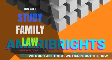Study Strategies for Family Law
