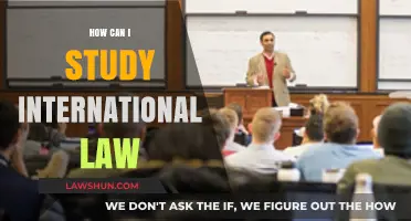 Strategies for Studying International Law