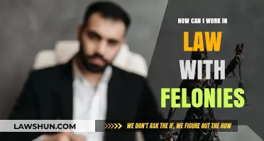 Finding Legal Work with a Felony: Your Options