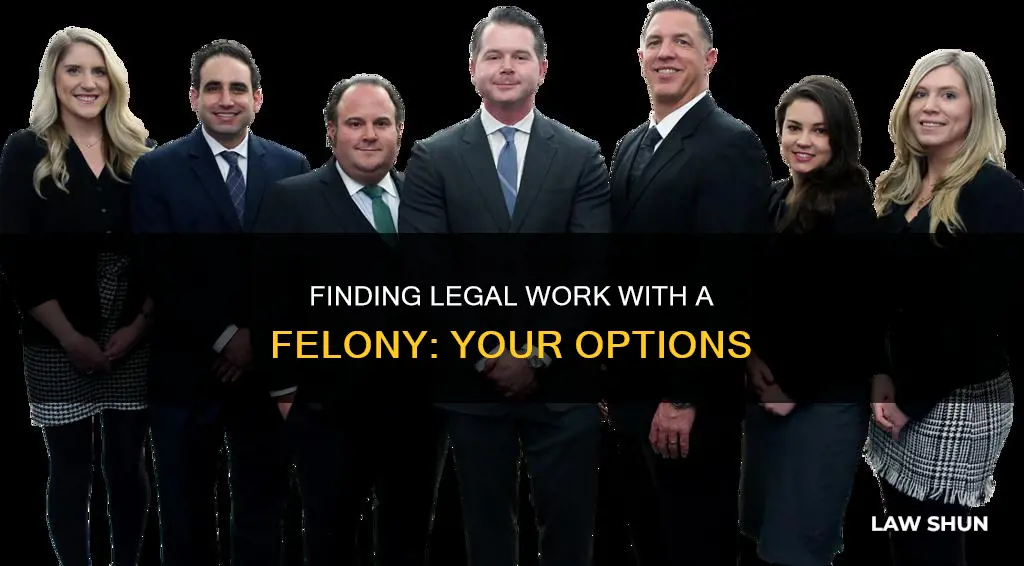 how can i work in law with felonies