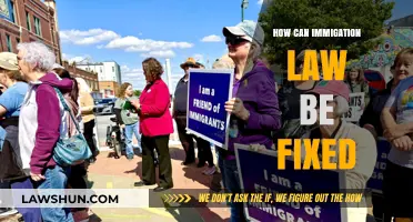 Fixing Immigration: A Comprehensive Approach to Law Reform