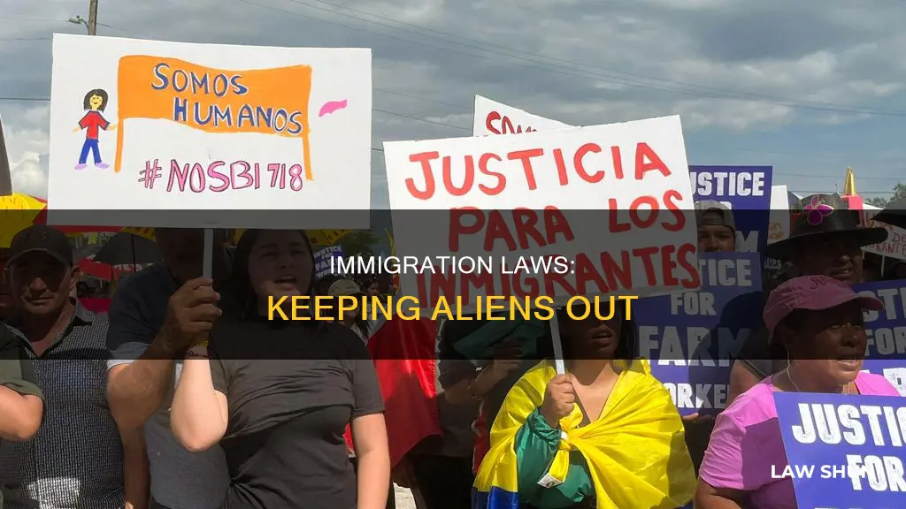 how can increasing immigration laws keep alliens out