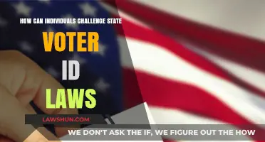 Challenging Voter ID Laws: Strategies for Individuals