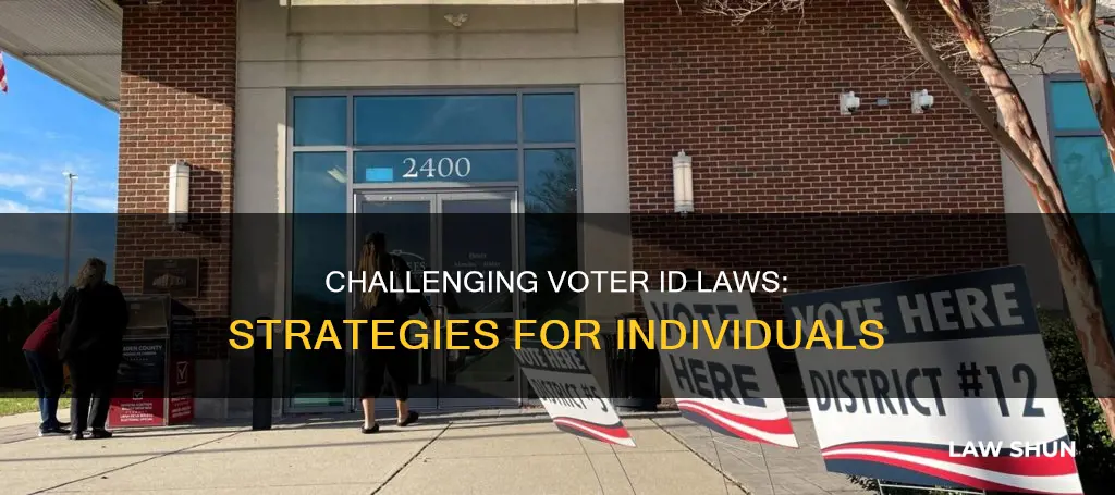 how can individuals challenge state voter id laws