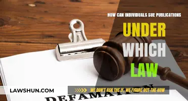 Suing Publications: What Law Protects You?