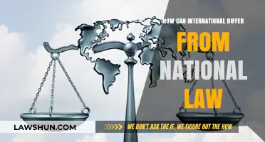 International vs National Law: What's the Difference?