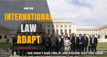 International Law: Adapting to a Changing World
