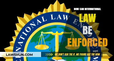 Enforcing International Law: What Powers Do We Have?