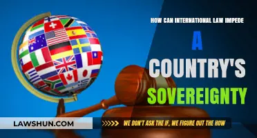 International Law: Hindering or Helping Sovereignty?
