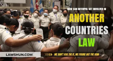Interpol's Role: International Law and Country Relations