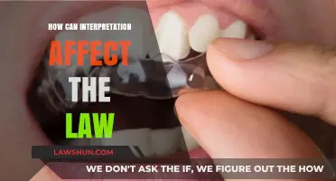 Interpretation's Impact: Law's Flexibility or Fluidity?