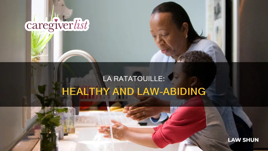 how can la ratatouille restaurant follow health laws