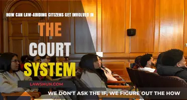 Engaging in the Court System: A Guide for Citizens