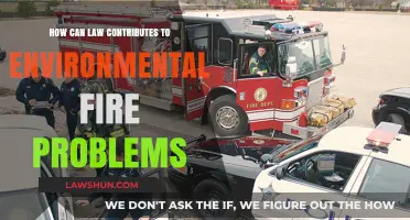 Law's Role in Environmental Fire Crises
