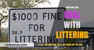 Litter Laws: Effective Strategies to Combat Environmental Crimes