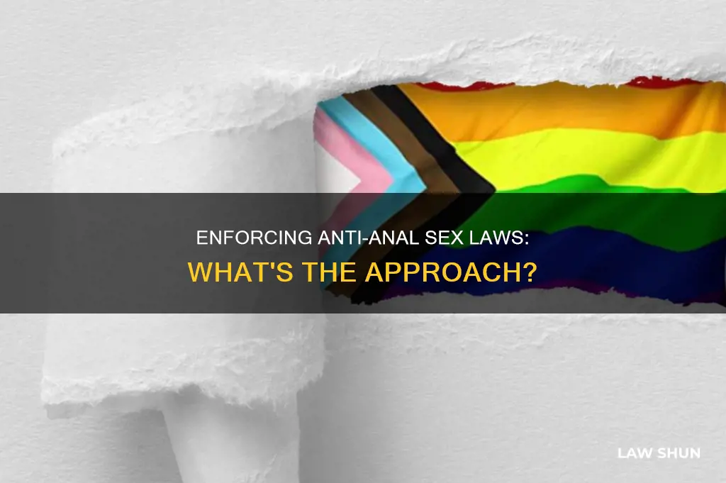 how can law enforce anti anal sex
