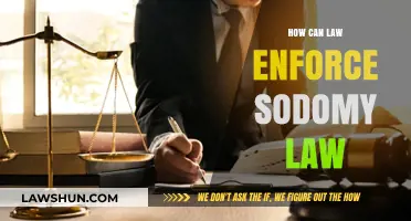 Enforcing Sodomy Law: Strategies for Law Enforcement