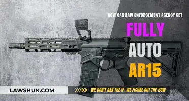 Unraveling Law Enforcement's Access to Auto AR15s
