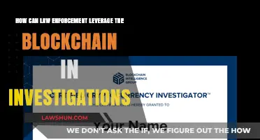 Blockchain forensics: A new tool for law enforcement investigations