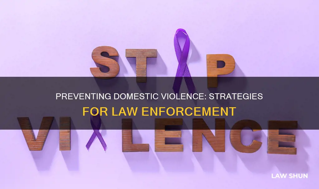 how can law enforcement prevent domestic violence