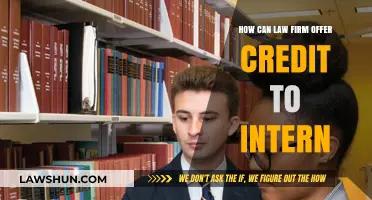 Credit for Interns: Law Firm Strategies