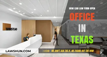 Opening a Law Firm in Texas: Guide