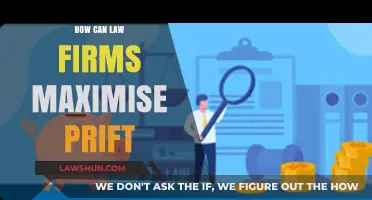 Strategic Profit Maximization for Law Firms