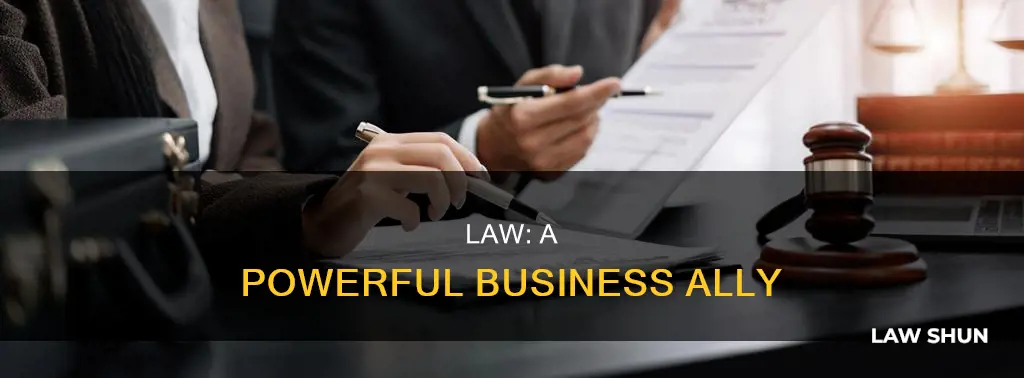 how can law help in business