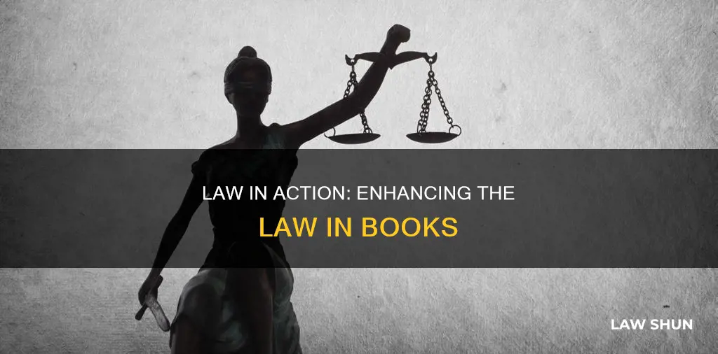 how can law in action complement law in books