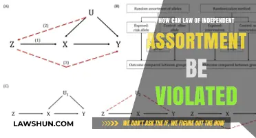 Independent Assortment: Violation and its Causes