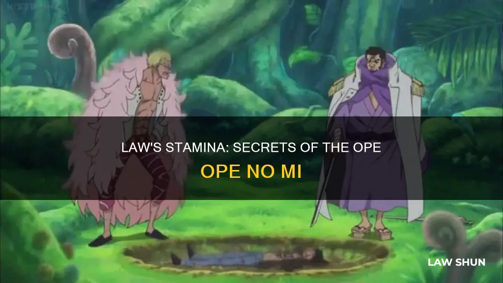 how can law replenish his stamina in one piece