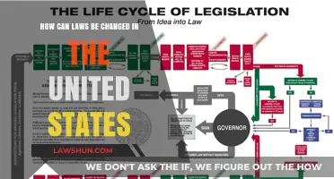 Amending US Laws: A Citizen's Guide