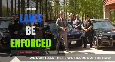 Enforcing Laws: Strategies and Challenges
