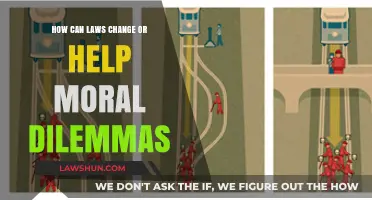 Exploring Ethics: Laws' Role in Moral Dilemmas