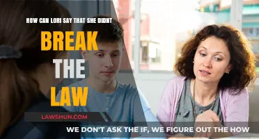 Lori's Defense: Understanding Her Plea of Innocence