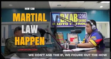 Martial Law: When and How It Happens