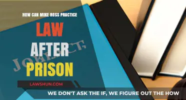 Mike Ross: Practicing Law After Prison