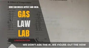 Moles and Gas Laws: Impact on Lab Results