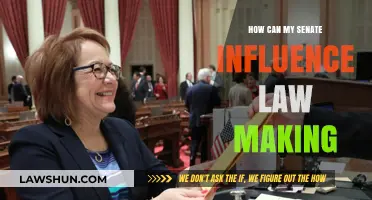 Senators' Power: Lawmaking Influence