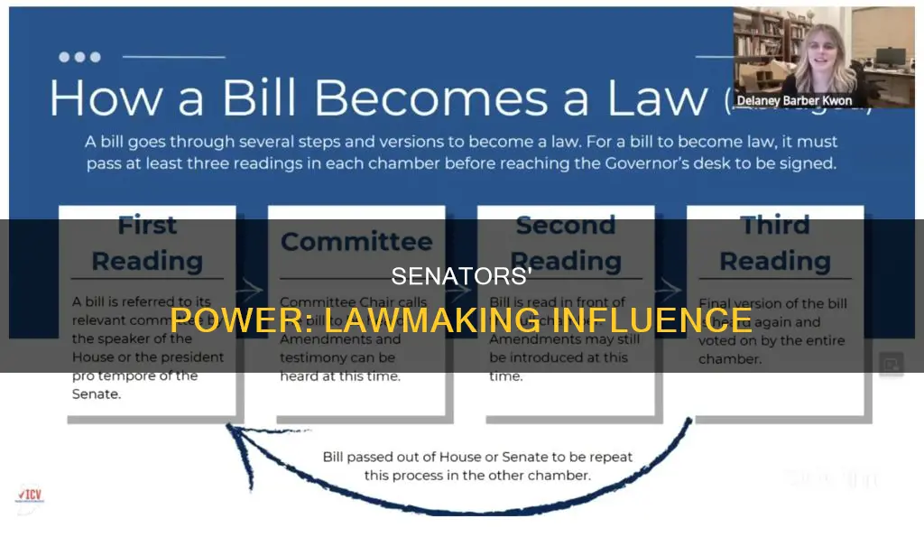 how can my senate influence law making