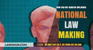 Senators' Role in National Lawmaking