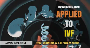 Natural Law and IVF: Ethical Exploration