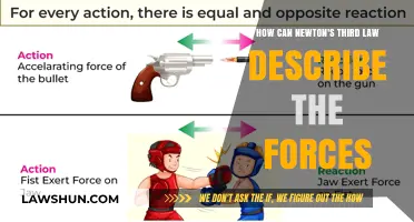 Newton's Third Law: Action-Reaction Forces Explained