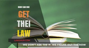 Strategies for Law Students to Excel in Their Field