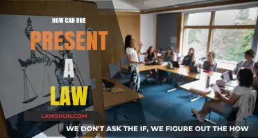 Presenting a Law: A Guide to Effective Lawmaking