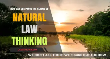 Natural Law Thinking: Proving the Claims