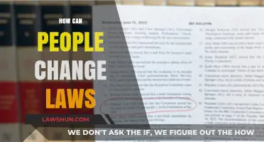 Changing Laws: A Guide to Making an Impact