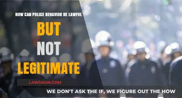 Police Behavior: Lawful but Illegitimate?