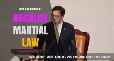 Martial Law: When and How Can a President Declare It?